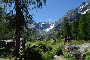24 in Alpe Ventina al Rif. Gerli-Porrro (1965 m) 